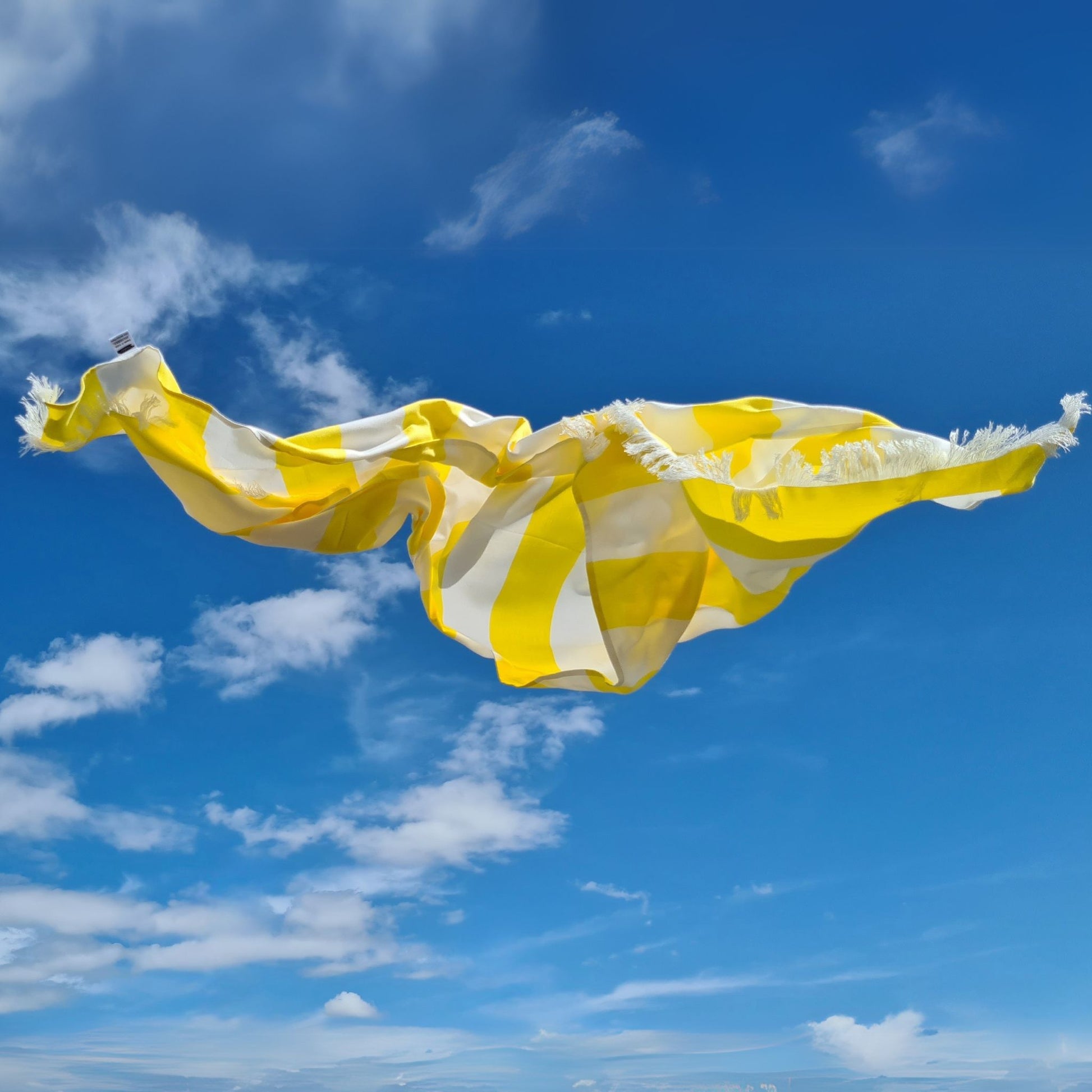 bambus peskiri zuto beli leti